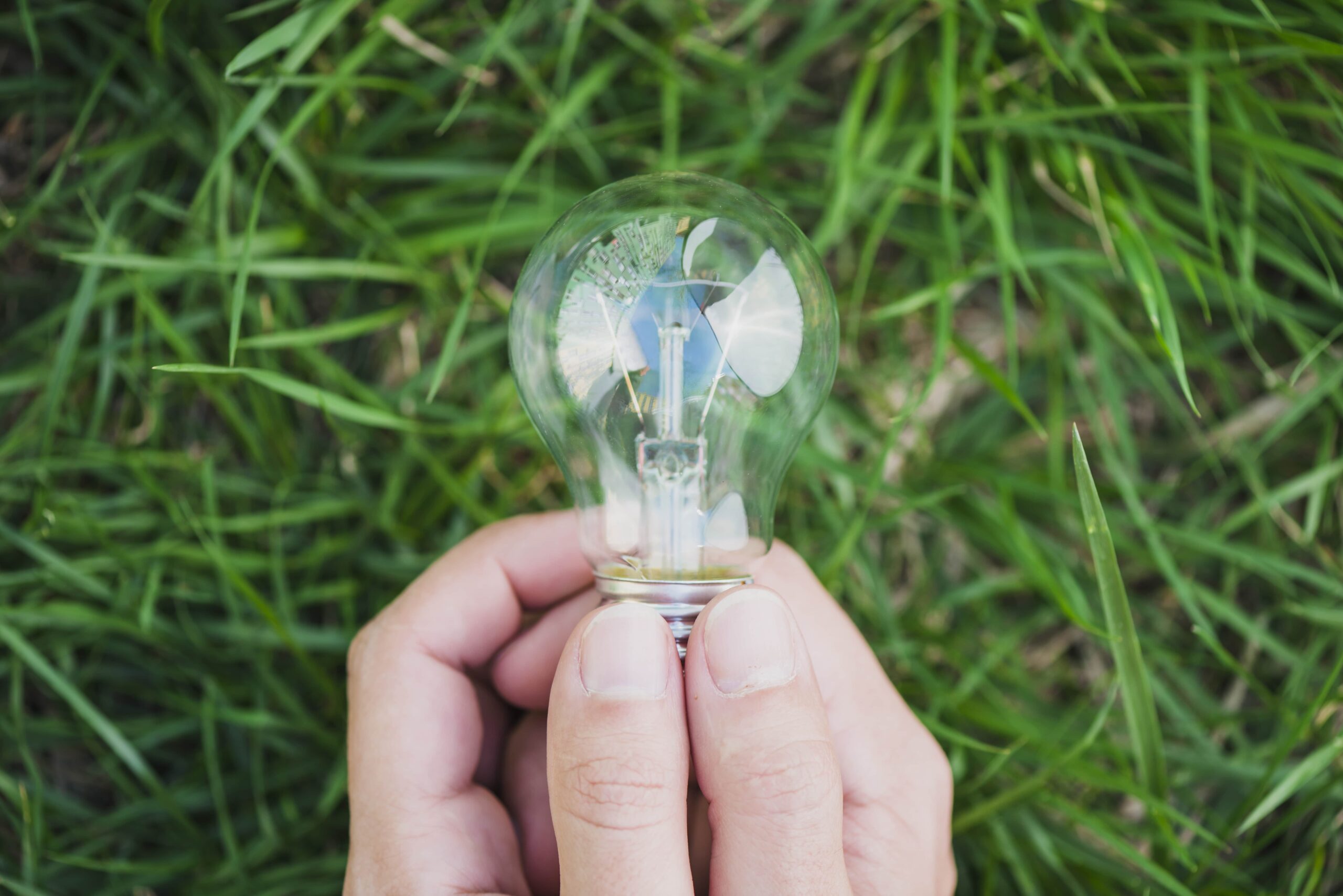 close-up-two-hands-holding-light-bulb-against-green-grass-min