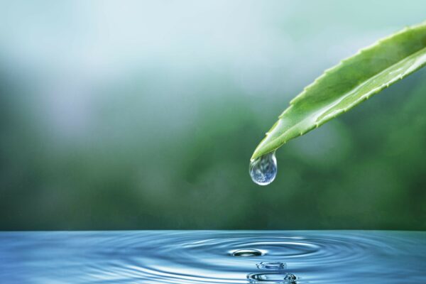 ecosystem-water-drop-nature-background-earth-day-campaign-min